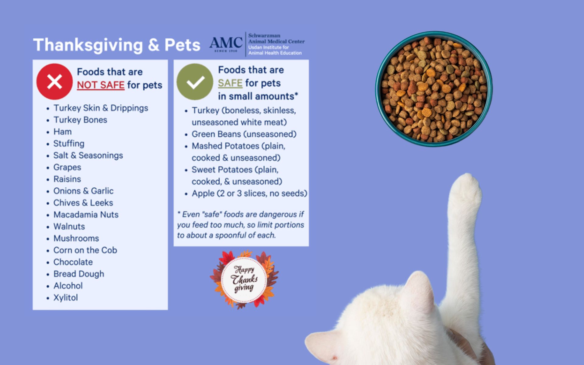 Image showing safe and unsafe food for pets