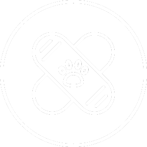 Pet medical care icon