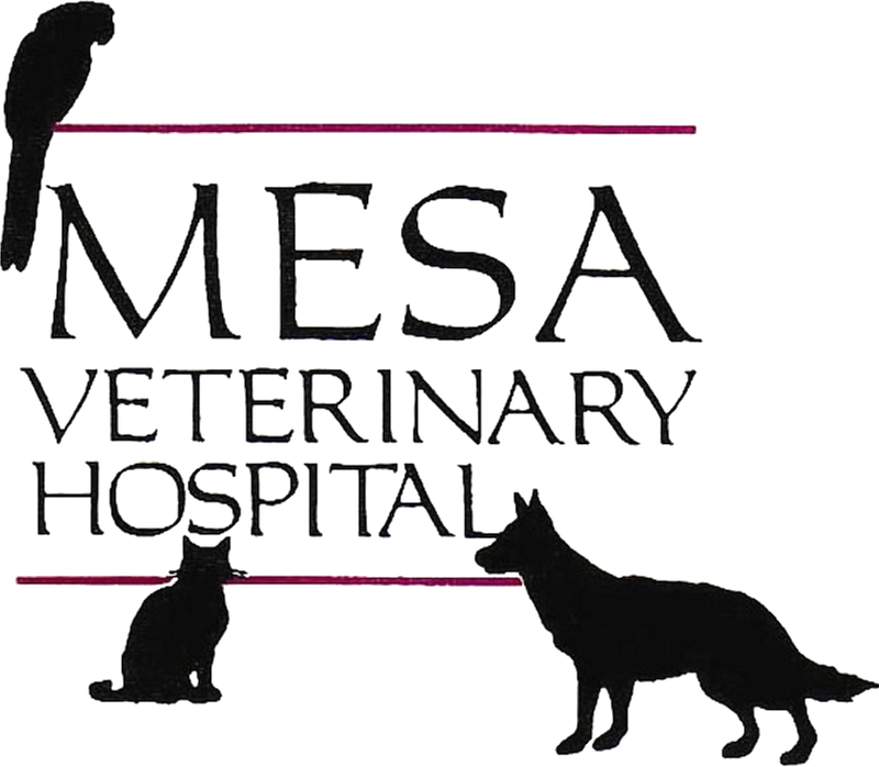 Mesa Veterinary Hospital Logo