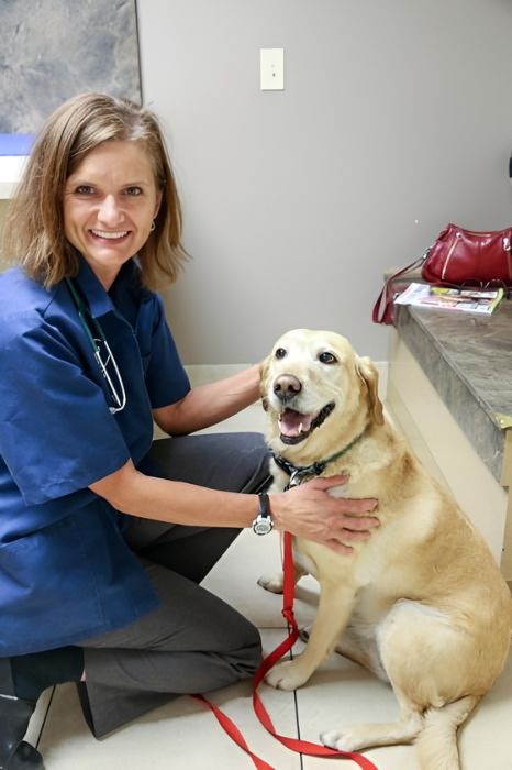 A vet kneels beside a dog gently holding it