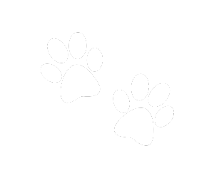 Kinard Animal Hospital - career benefits