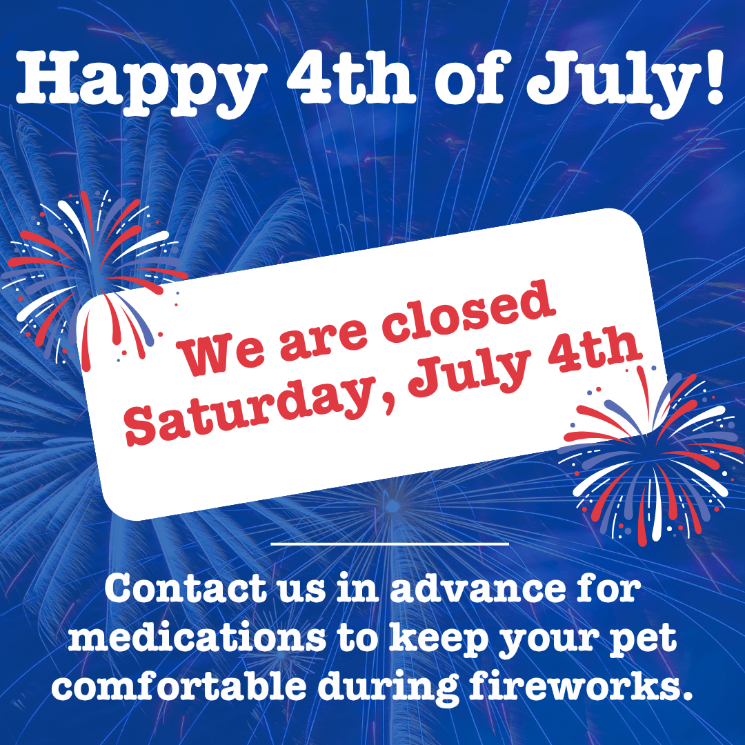 July 4th 2026 Popup